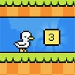 Times Table Duck 